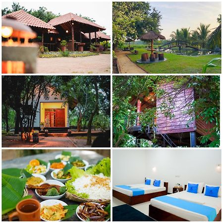 Ceylon Amigos Eco Resort シギリヤ エクステリア 写真
