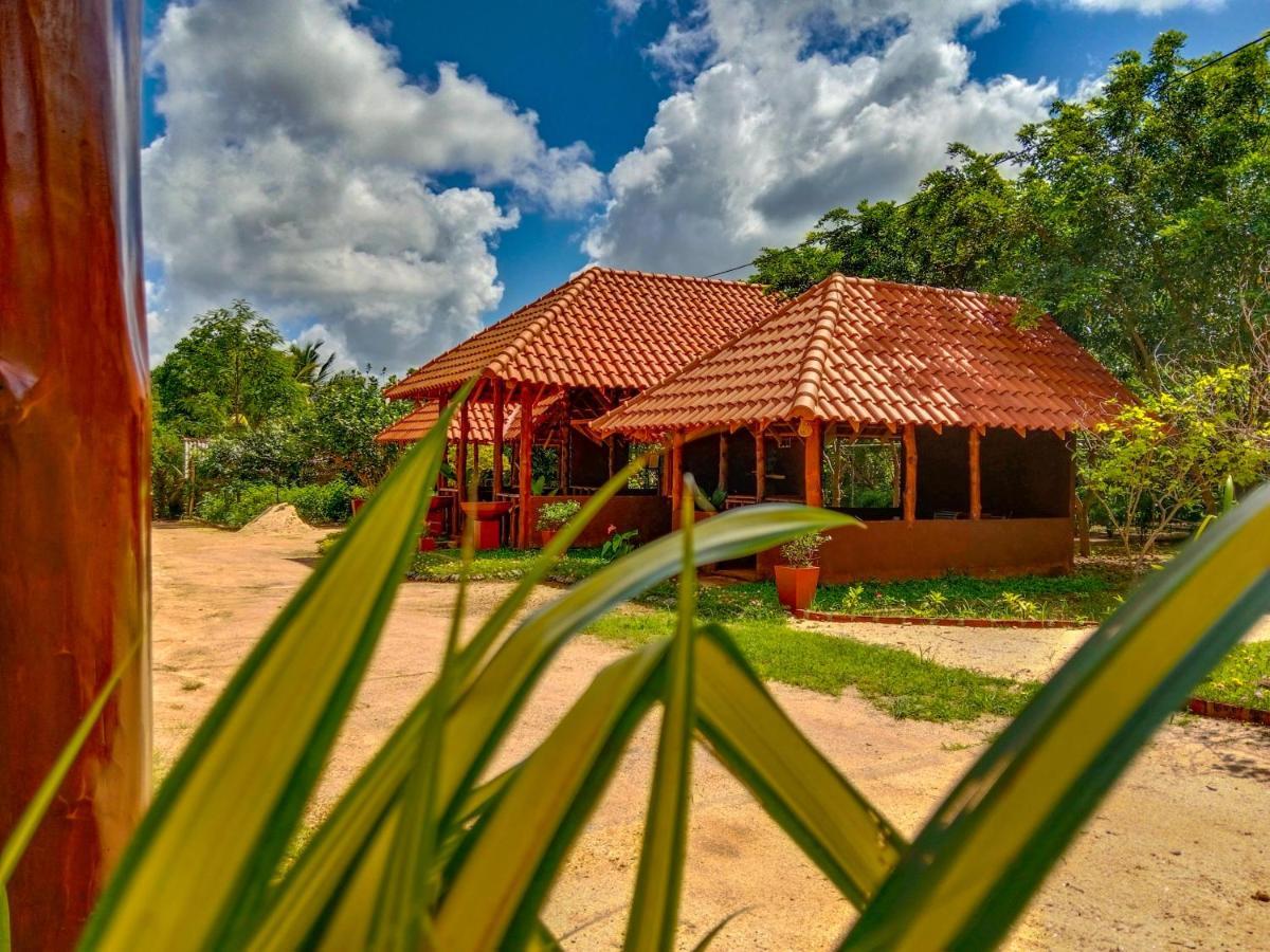 Ceylon Amigos Eco Resort シギリヤ エクステリア 写真