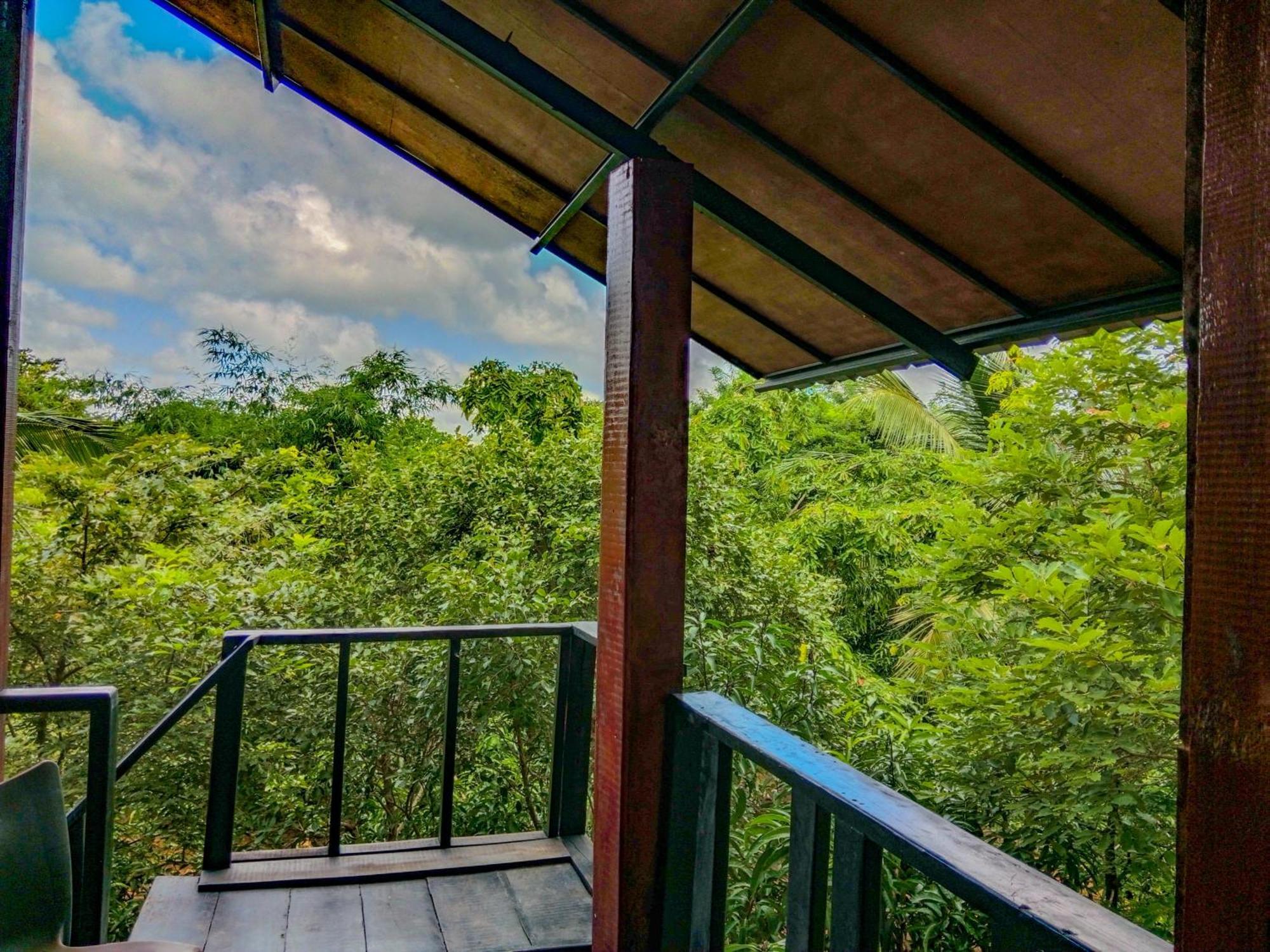 Ceylon Amigos Eco Resort シギリヤ エクステリア 写真