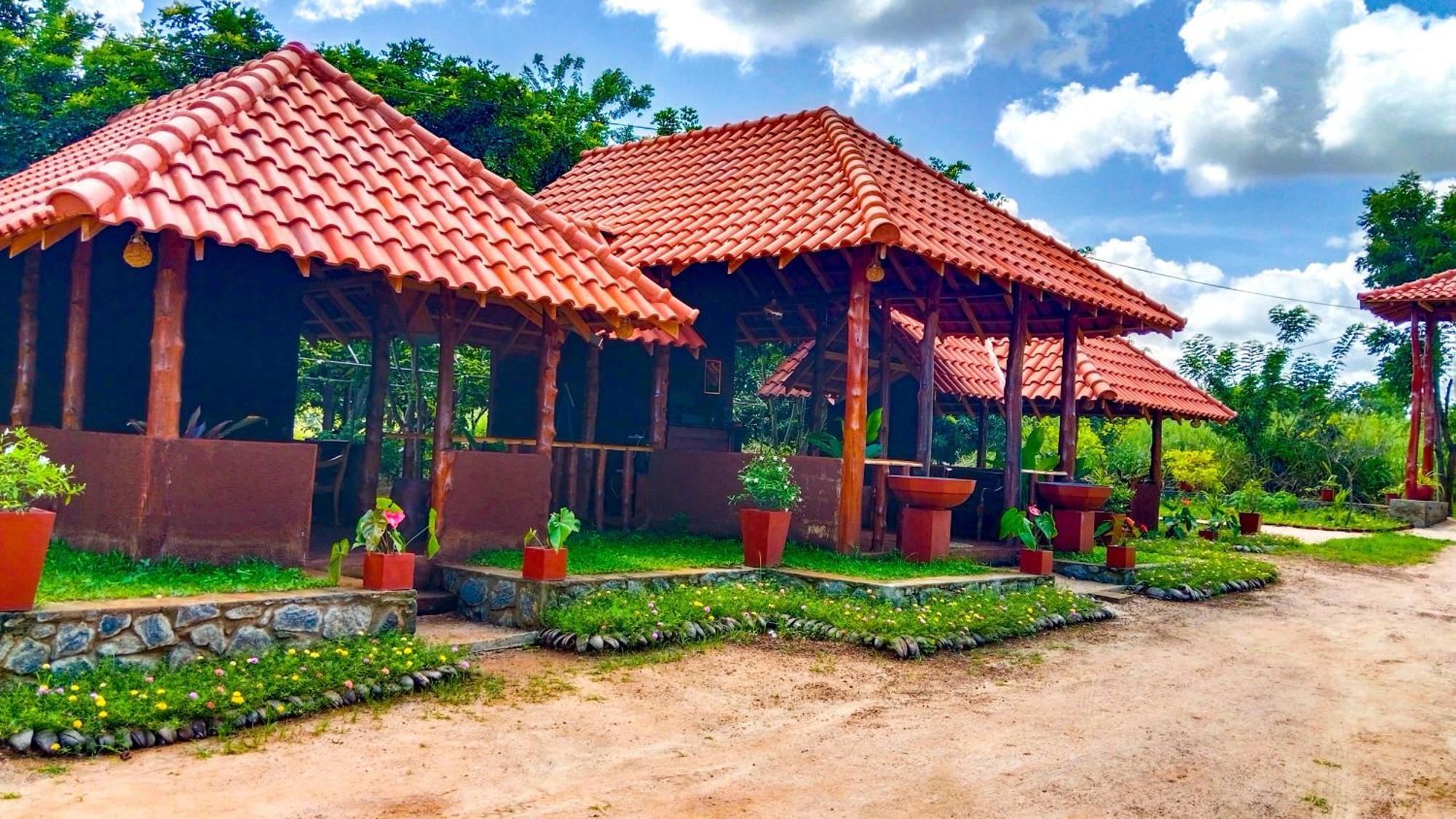Ceylon Amigos Eco Resort シギリヤ エクステリア 写真